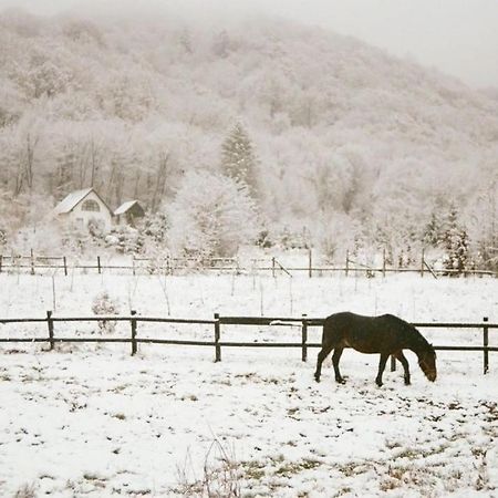 Vila Casuta Boema Rîşnov Exteriér fotografie