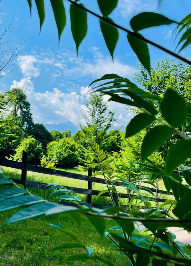 Vila Casuta Boema Rîşnov Exteriér fotografie