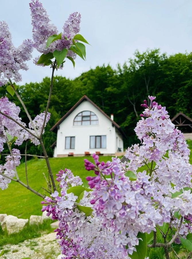 Vila Casuta Boema Rîşnov Exteriér fotografie