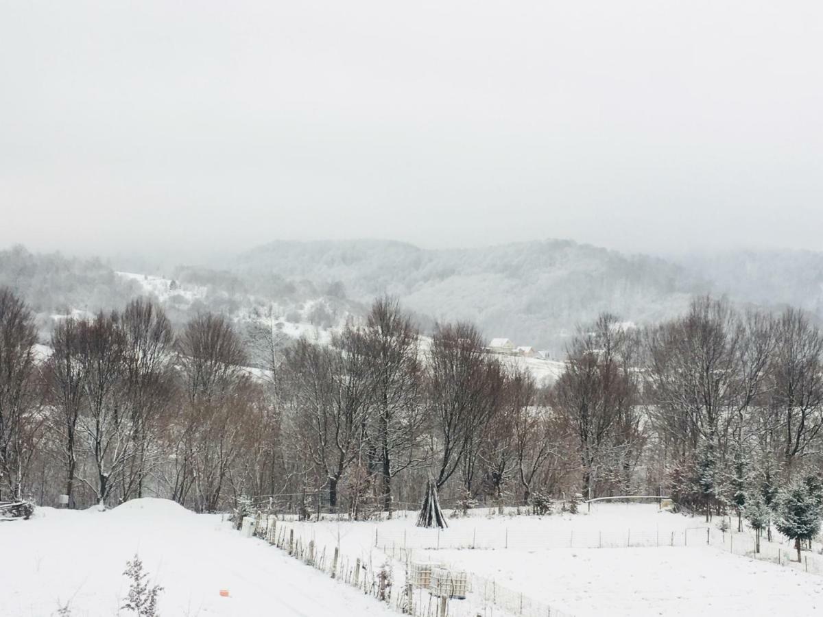 Vila Casuta Boema Rîşnov Exteriér fotografie