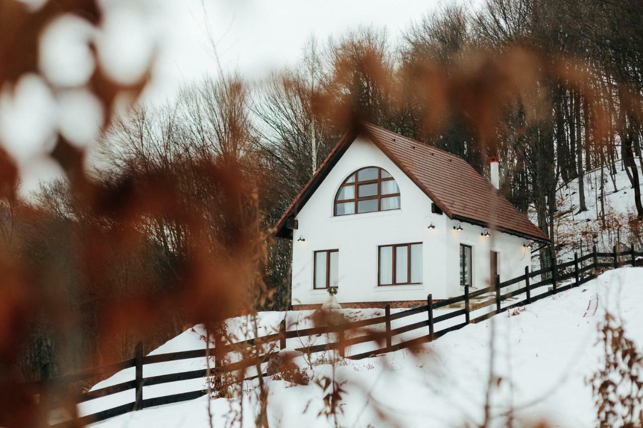 Vila Casuta Boema Rîşnov Exteriér fotografie