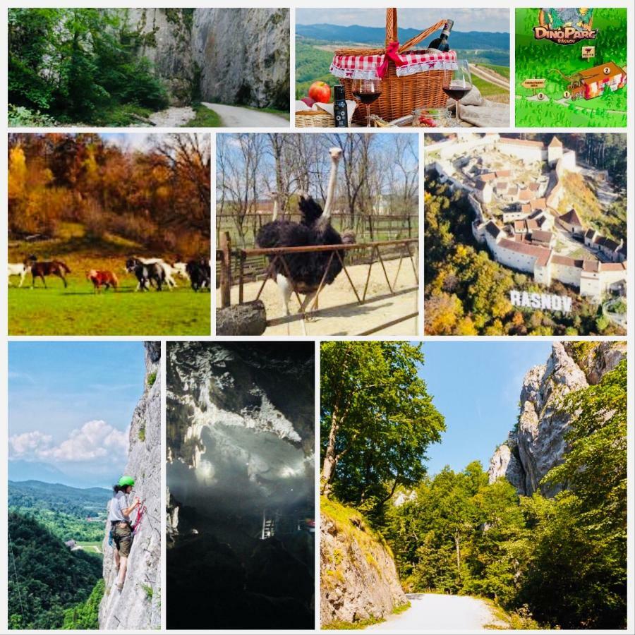 Vila Casuta Boema Rîşnov Exteriér fotografie